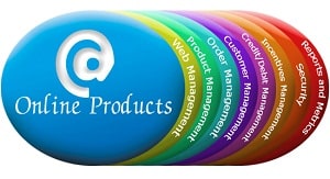 ecommerce 100plus-300x233-1